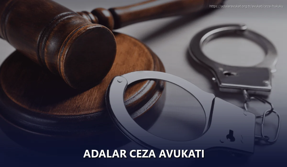 Adalar Ceza Avukatı